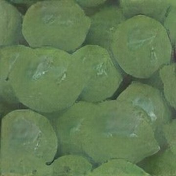 retrieved lemon