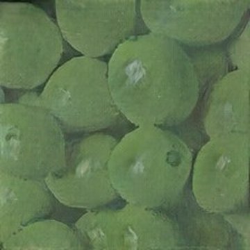 retrieved lemon